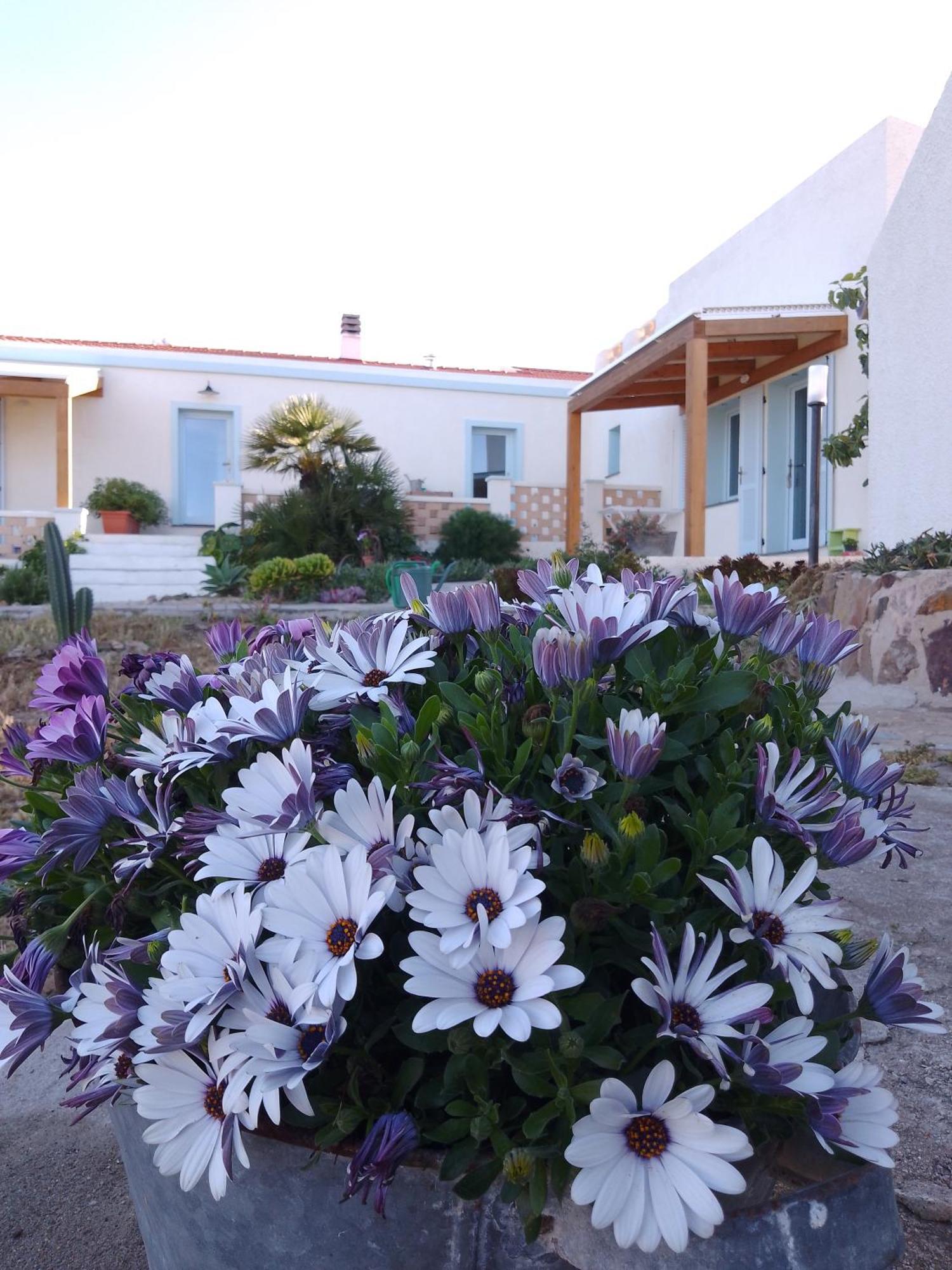 Lispusada B&B Biancareddu Exterior foto